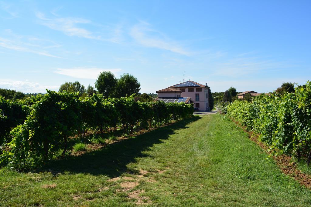 Le Stanze Di Bacco Villa Monteveglio Exterior photo